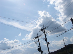 電線（DSC04922）