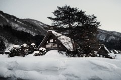 合掌村＃8