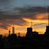 夕日３