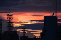 夕日１