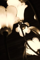 IMG_0008