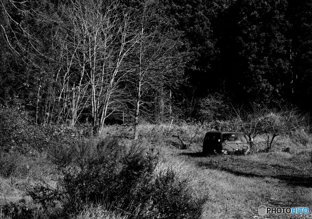 ｂｗ １