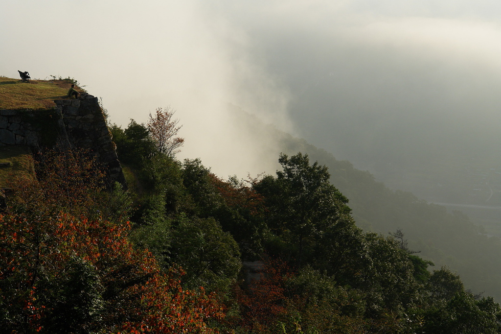 雲海