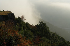 雲海