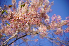 DSC01668