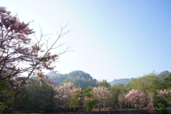 DSC01667