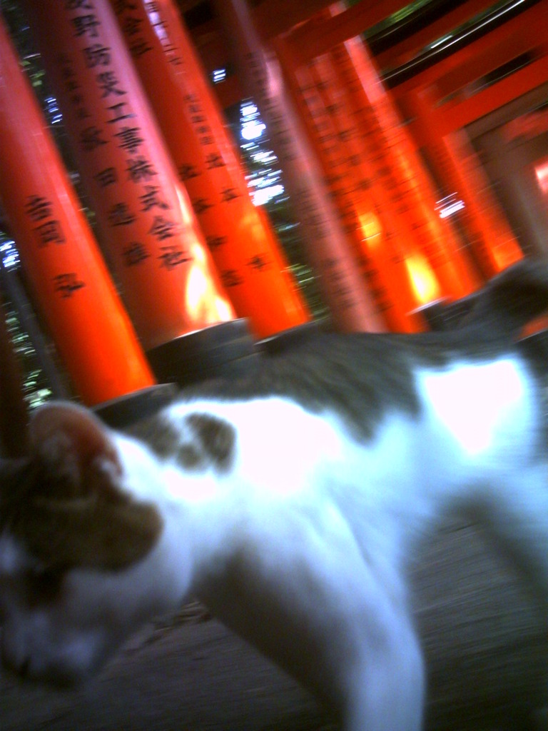 PICT0153