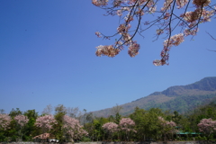 DSC01756