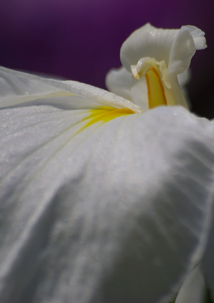 IMGP0301