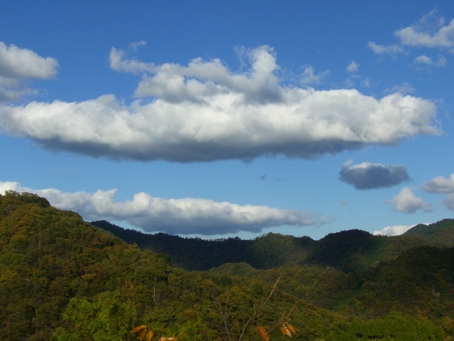 秋の空