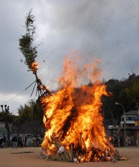 2010.01.16　　とんど