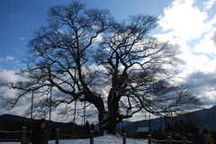 12月１9日　吹雪の蒜山へ 009