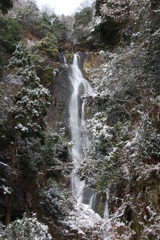 12月１9日　吹雪の蒜山へ 046