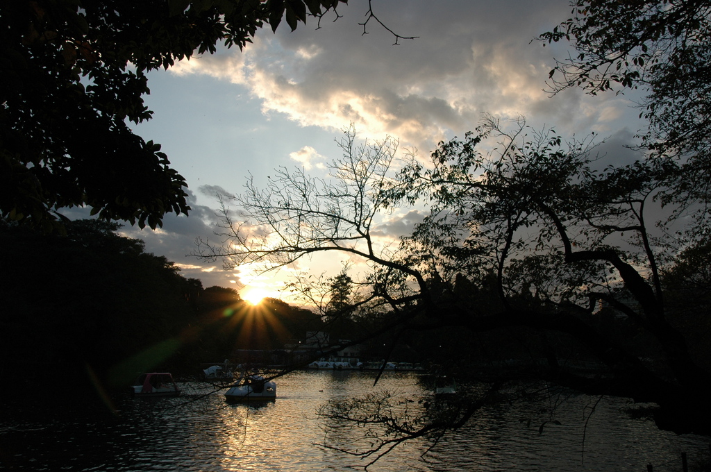 夕日