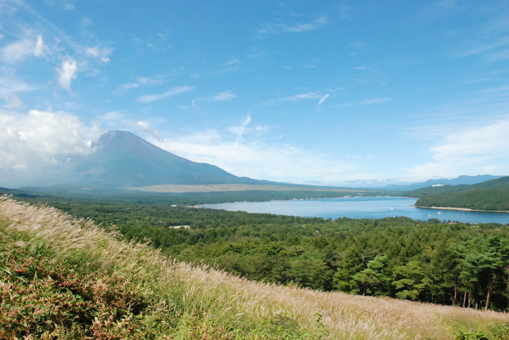 Mt.FUJI