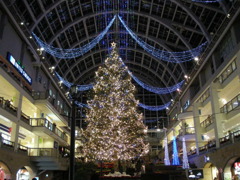 X'mas tree