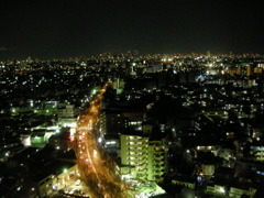 night view from 21F