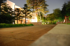 in the night