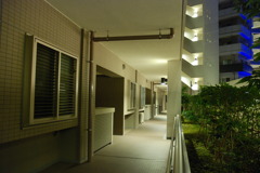 mansion in the night