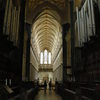 in the Salisbury Cathedral 2