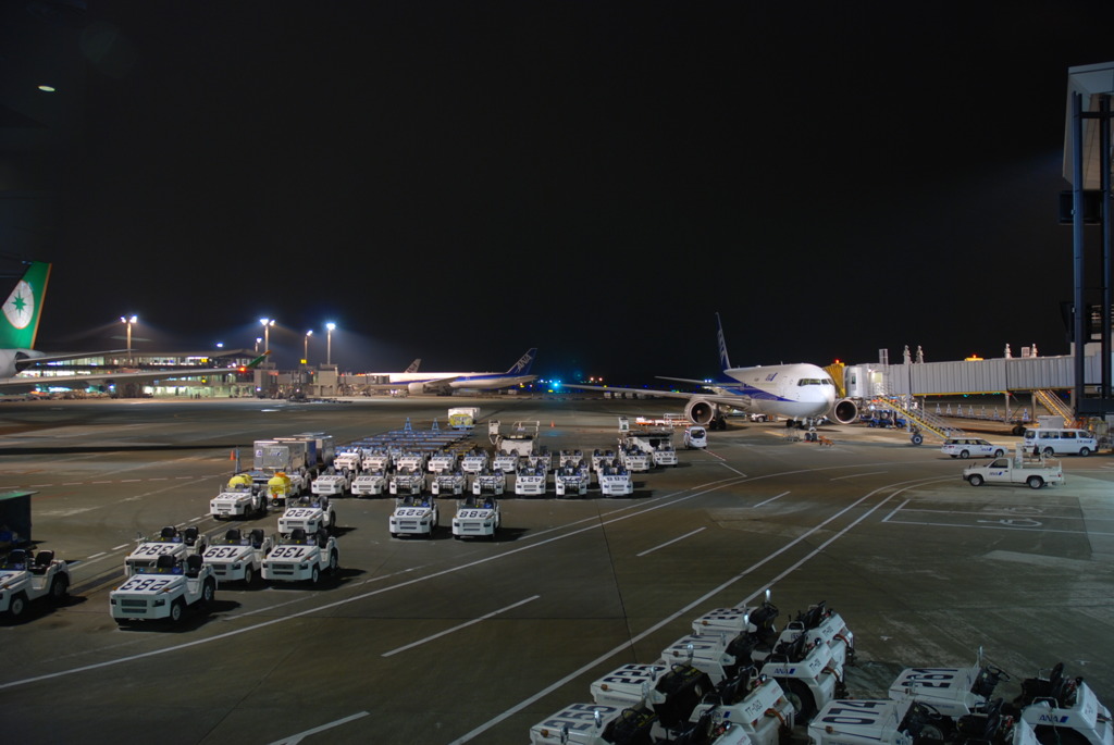 Narita Airport