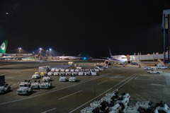 Narita Airport