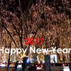 謹賀新年　2017