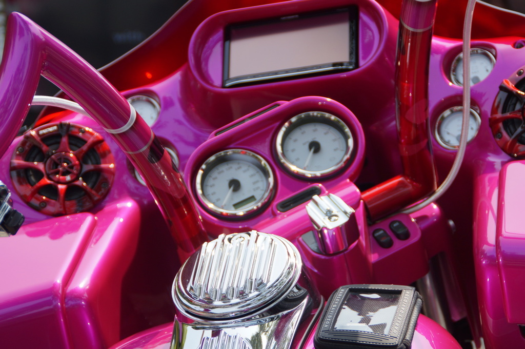 Pink HARLEY