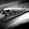 HARLEY front