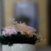 smc takumar 55mm f1.8