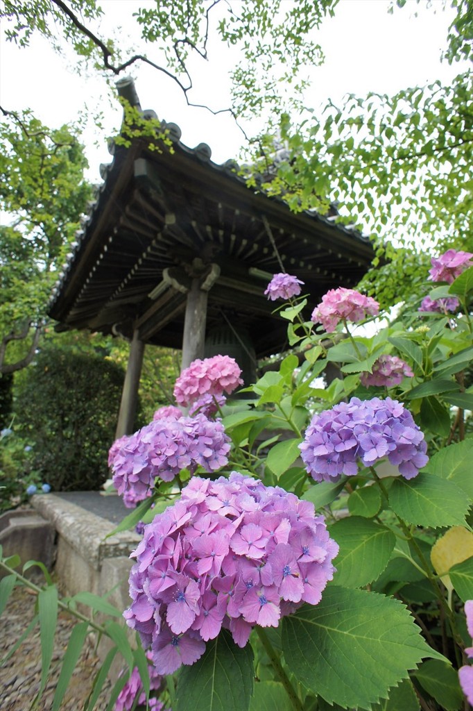 梅雨らしい日に