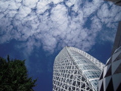 clear skies21