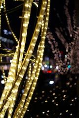 イルミ-表参道2009