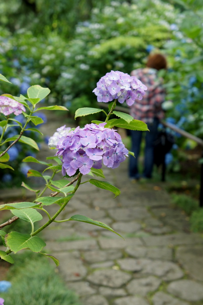 私を見て々・・・