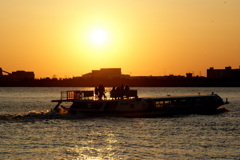 DSC05491