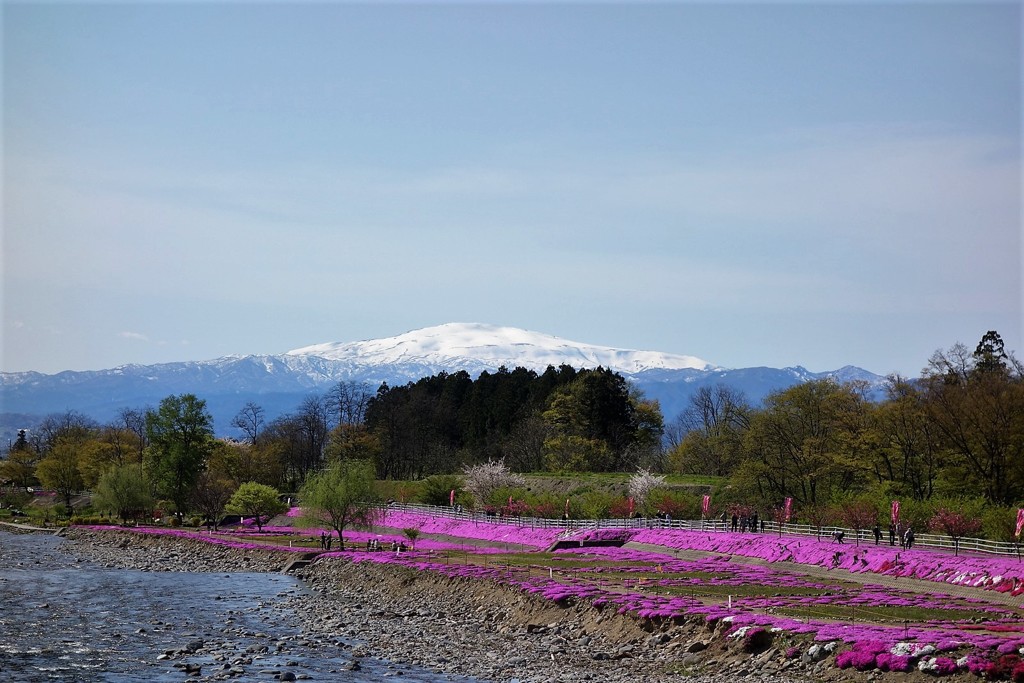 5月の月山