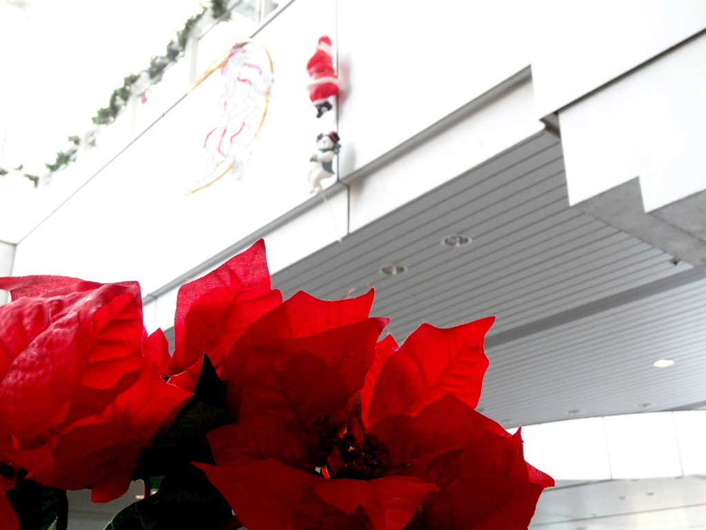 クリスマスカラー