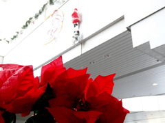 クリスマスカラー