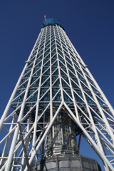 DSC05988