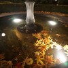 水面の秋