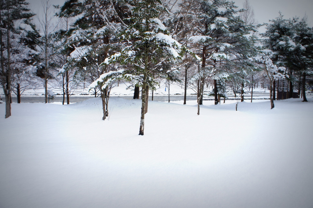 snow snow・・・