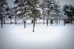 snow snow・・・