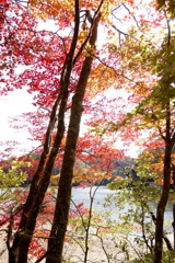 湖畔の秋
