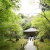 新緑の松島・円通院