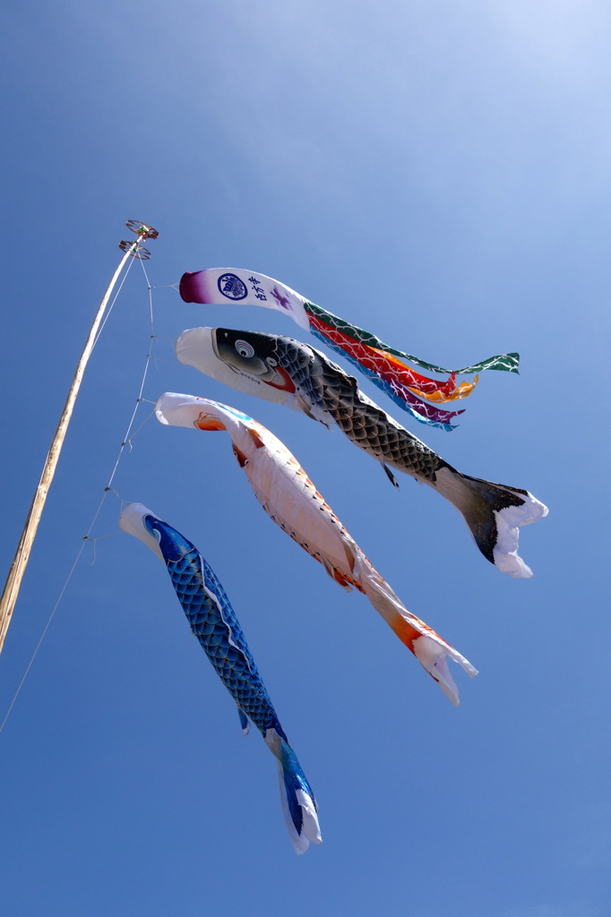 もうすぐ五月・・・