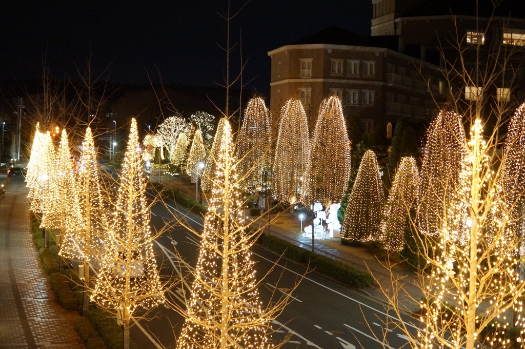WINTER ILLUMINATION　2017-2018