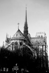 Cathédrale Notre-Dame de Paris-9