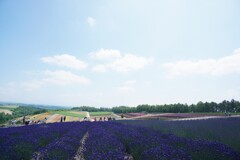 快晴の日に