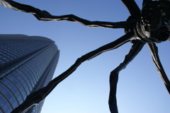 clear skies05