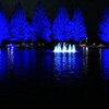 幻想の池